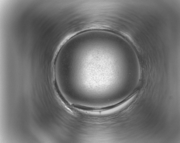 X0000066941371200603271126