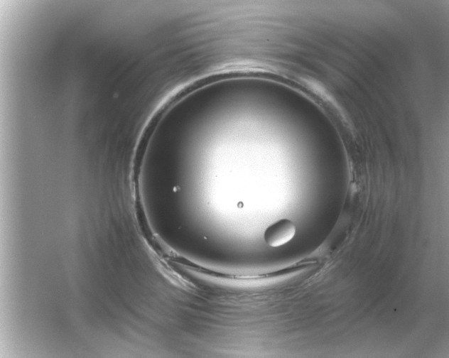 X0000066941372200603271126