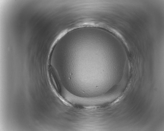 X0000066941373200603271126