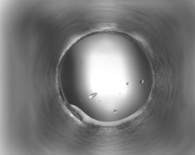 X0000066941374200603271126