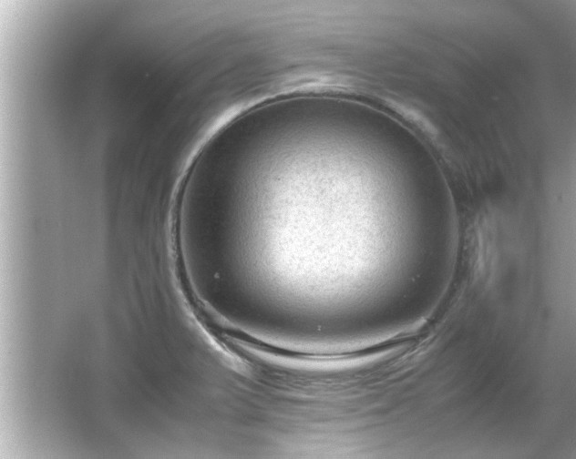 X0000066941375200603271126