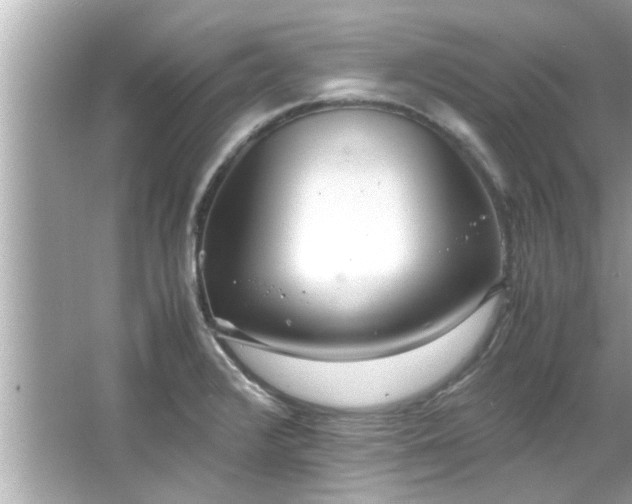 X0000066941376200603271126