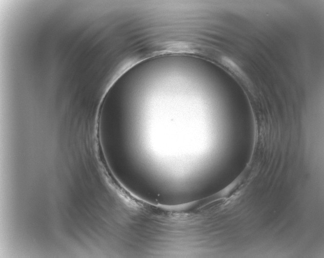 X0000066941378200603271126