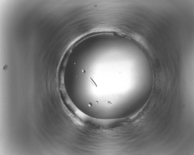 X0000066941380200603271126