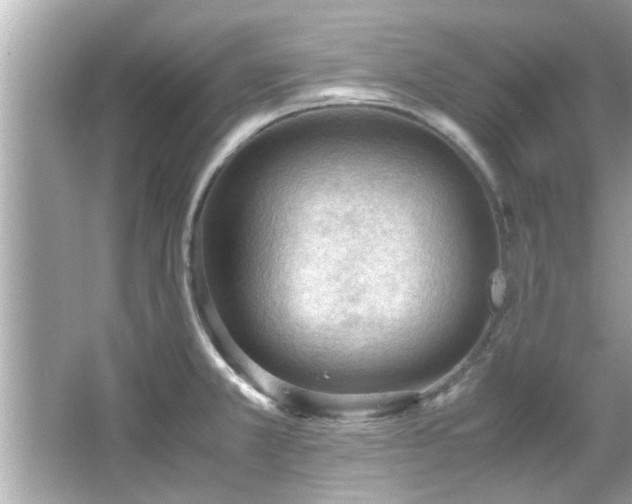 X0000066941381200603271126