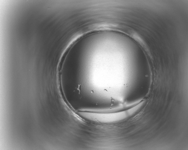 X0000066941384200603271126