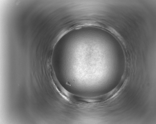 X0000066941385200603271126