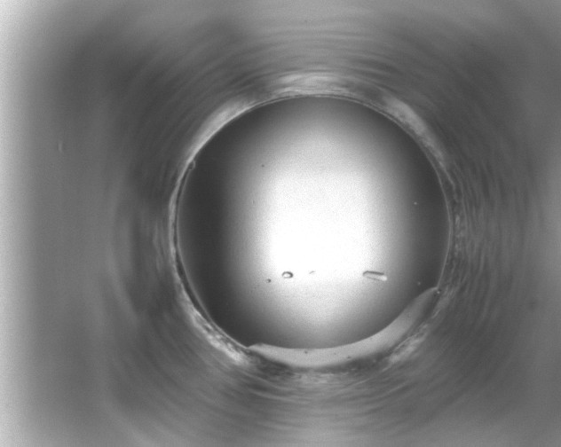 X0000066941386200603271126