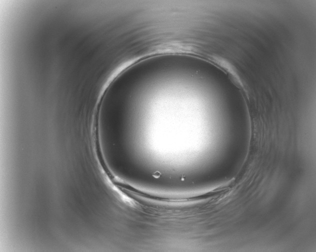 X0000066941387200603271126