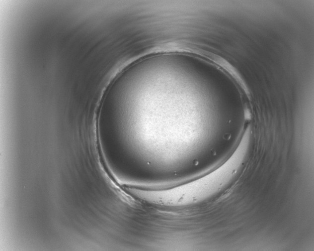 X0000066941388200603271126