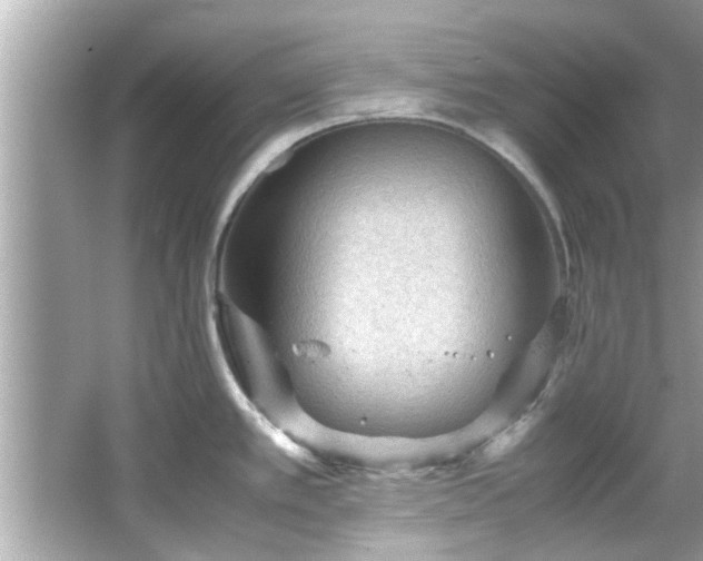 X0000066941389200603271125