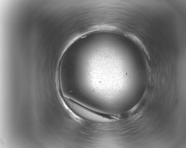 X0000066941391200603271125