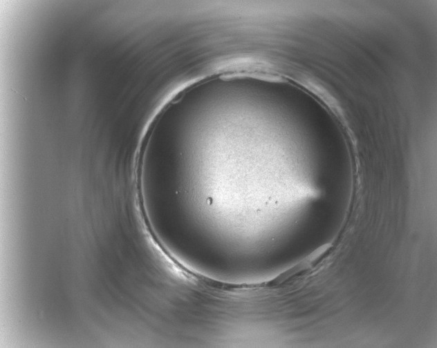 X0000066941392200603271125