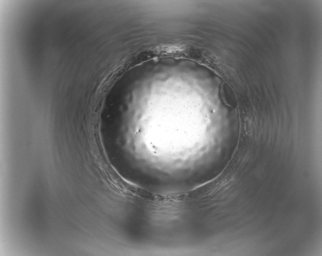 X0000066941393200603271125