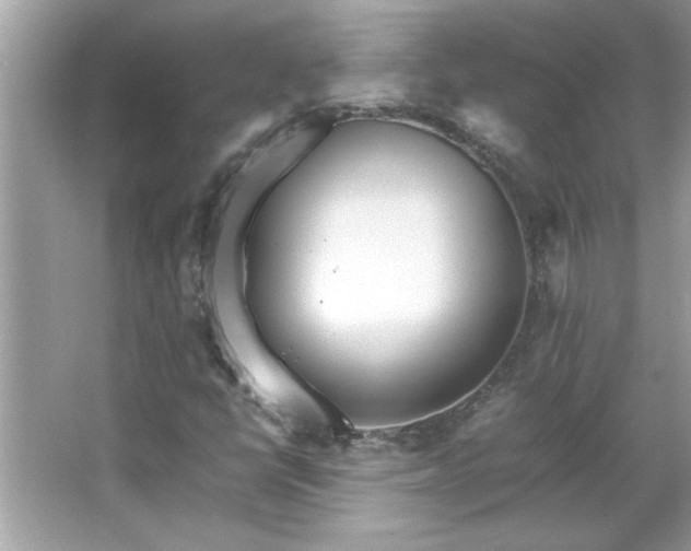 X0000066941398200603271125