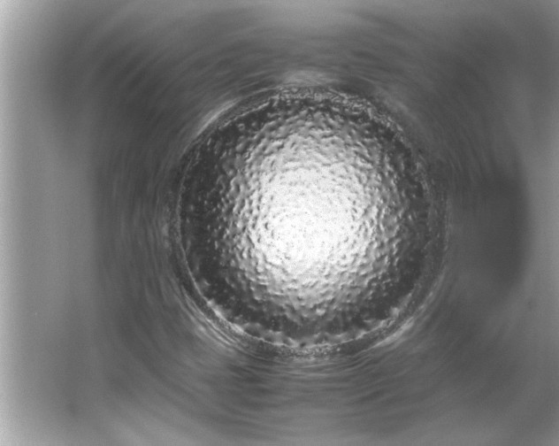 X0000066941401200603271125