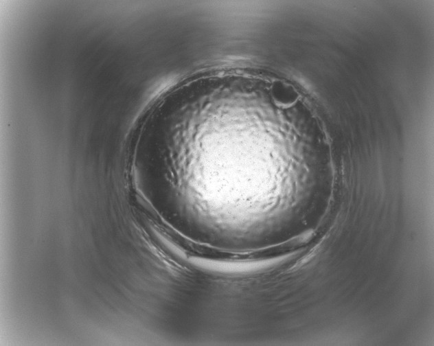 X0000066941405200603271125