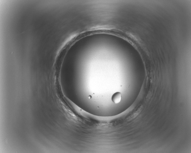 X0000066941406200603271125