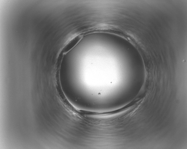 X0000066941410200603271125