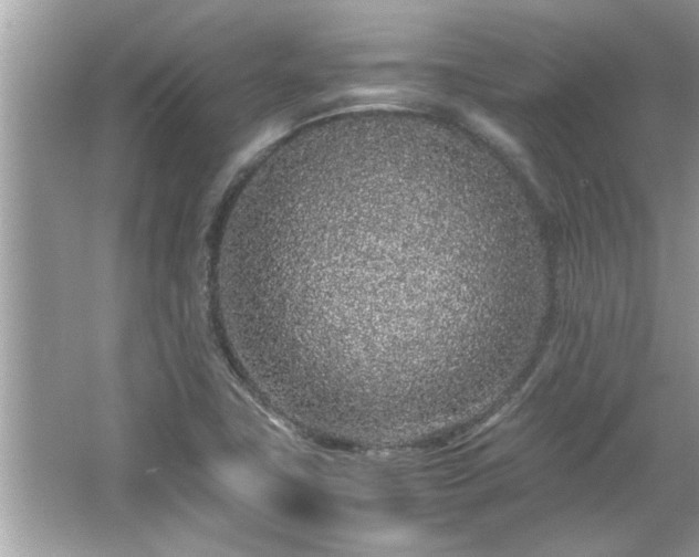 X0000066941411200603271125