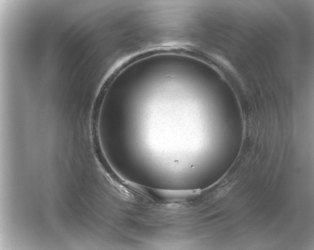 X0000066941412200603271125