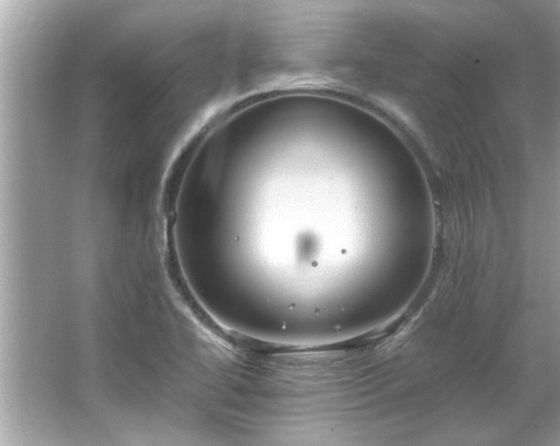 X0000066941414200603271125