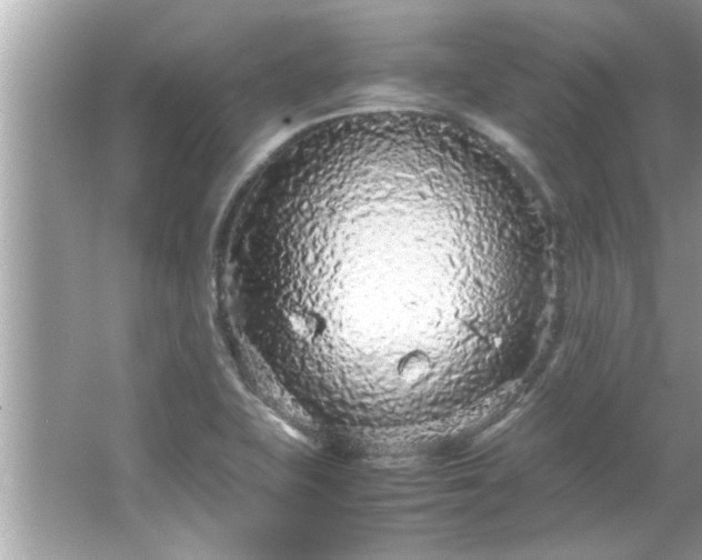 X0000066941415200603271125