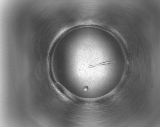 X0000066941416200603271125