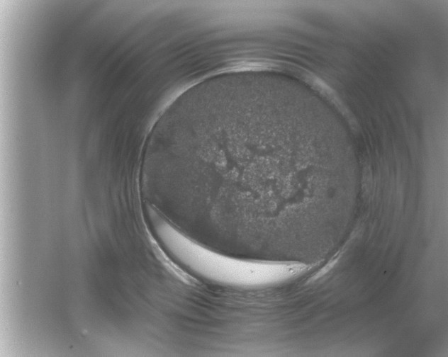 X0000066941417200603271125