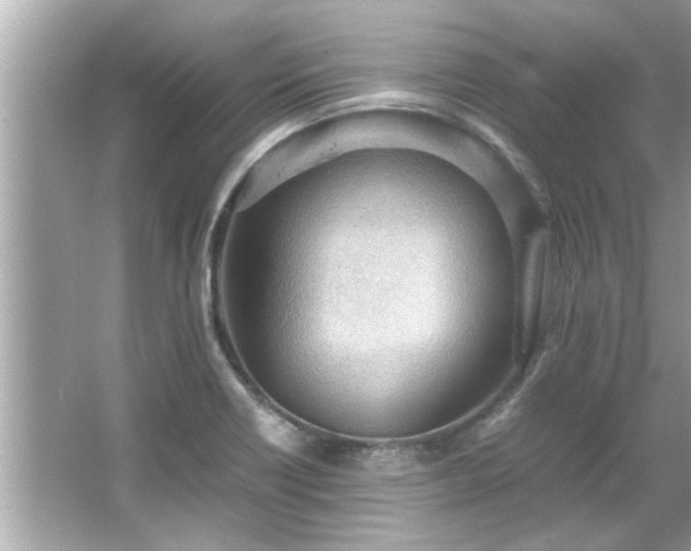 X0000066941418200603271125