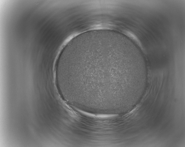 X0000066941419200603271125