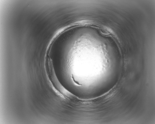 X0000066941421200603271125