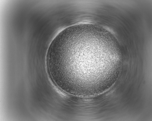 X0000066941423200603271125