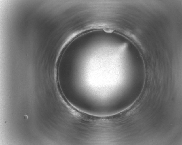 X0000066941424200603271125