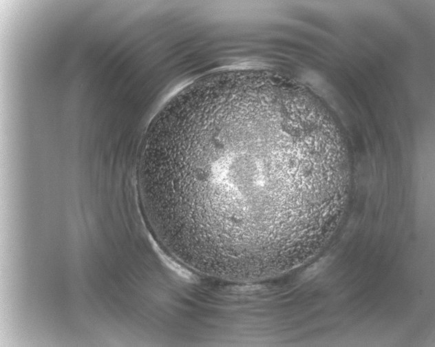 X0000066941425200603271125