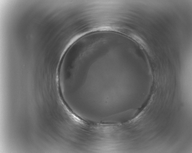 X0000066941428200603271125