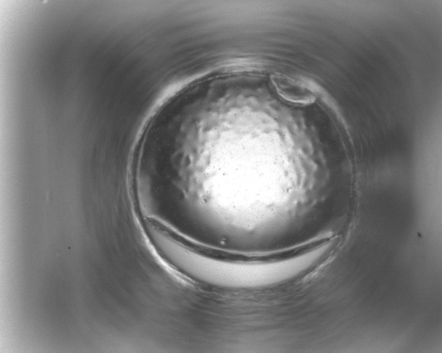 X0000066941429200603271125