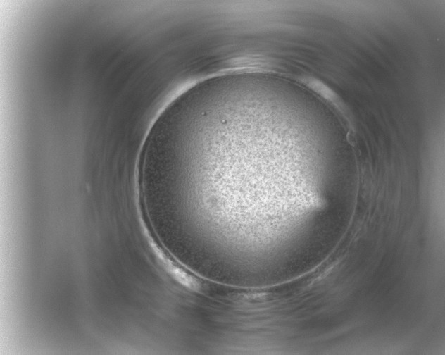 X0000066941431200603271125