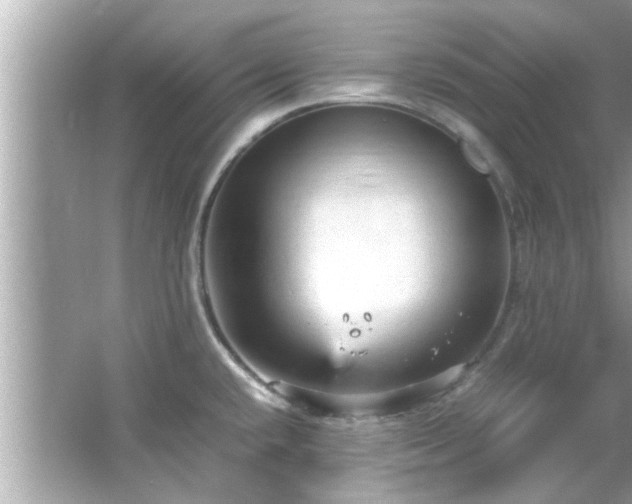 X0000066941432200603271125