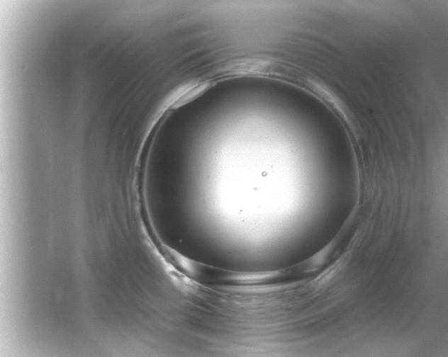 X0000066941434200603271125