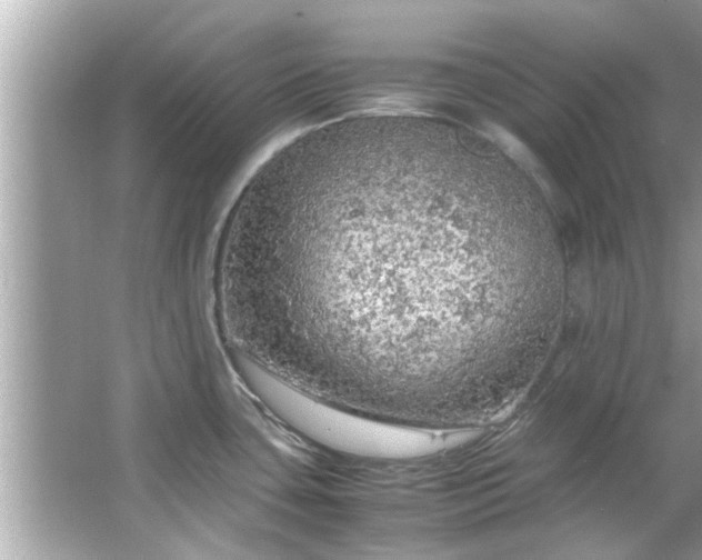 X0000066941435200603271125