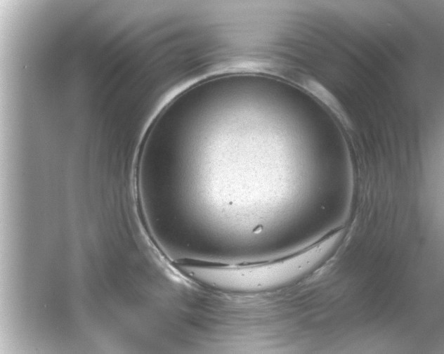 X0000066941436200603271125