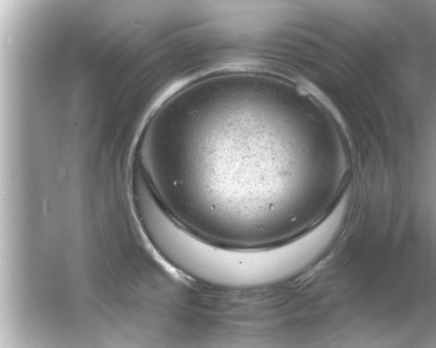 X0000066941437200603271125