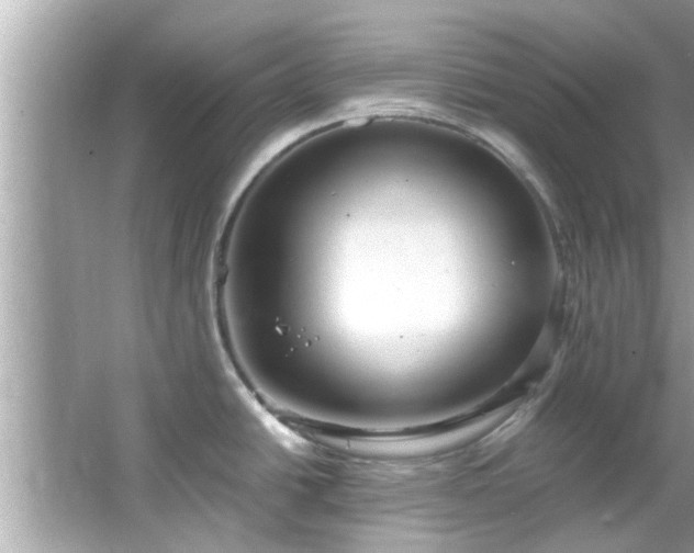 X0000066941438200603271125