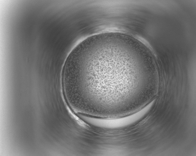 X0000066941439200603271125