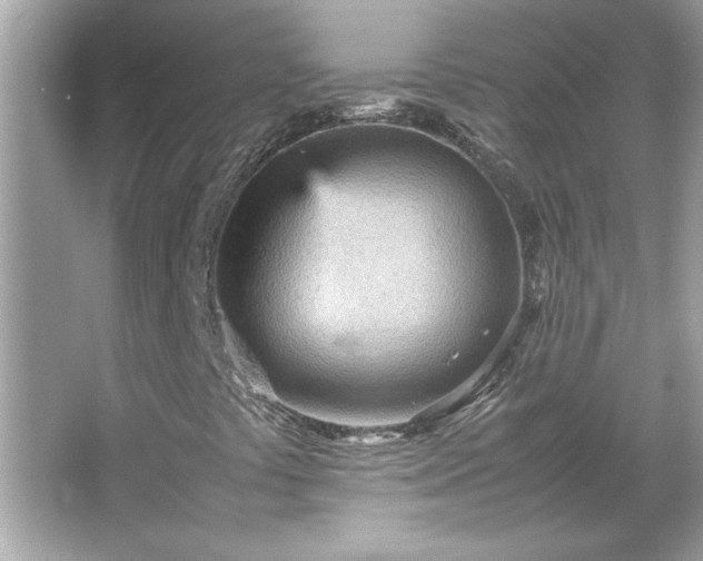 X0000066941441200603271125