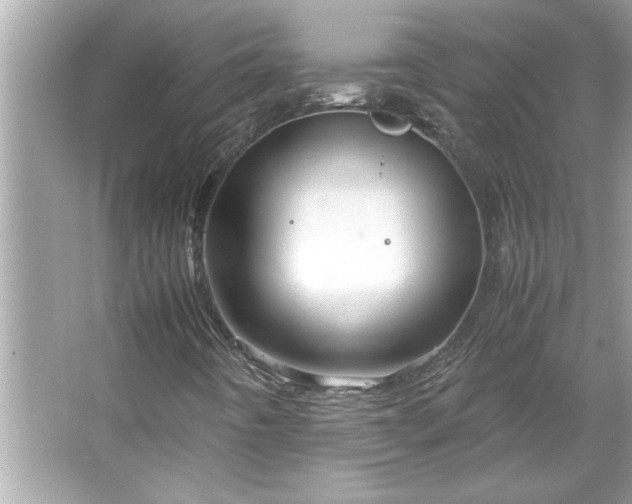 X0000066941442200603271125