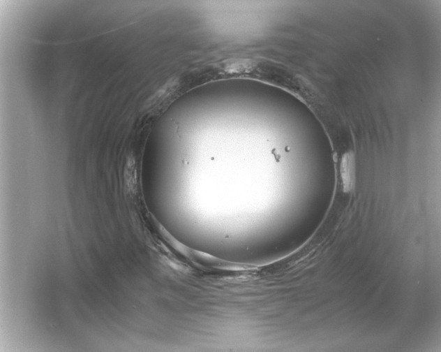 X0000066941443200603271125