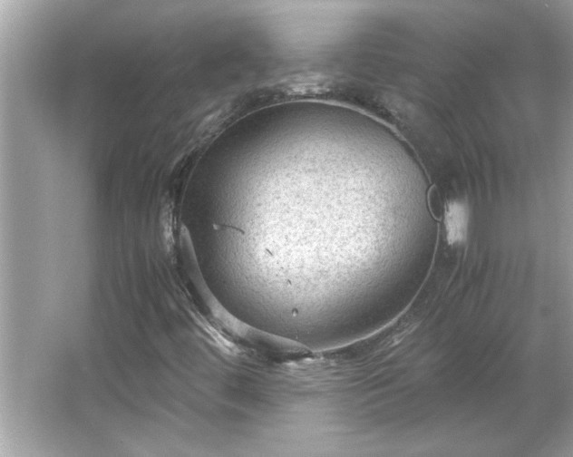 X0000066941444200603271125