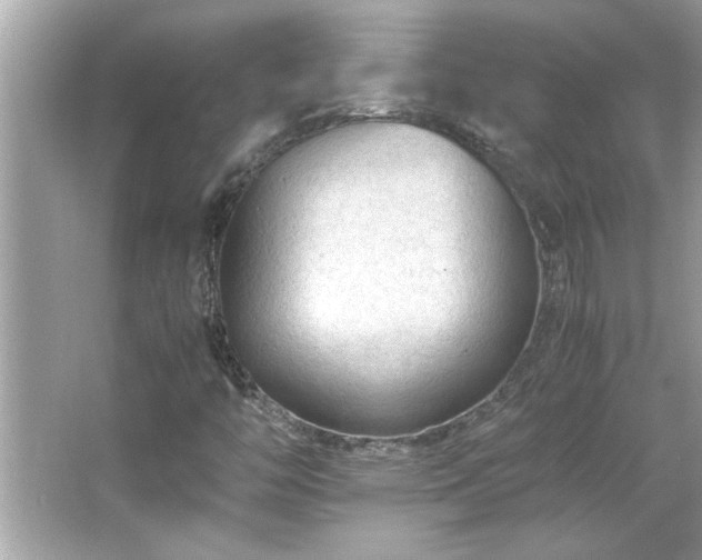 X0000066941446200603271125